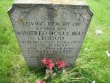 image of grave number 246525